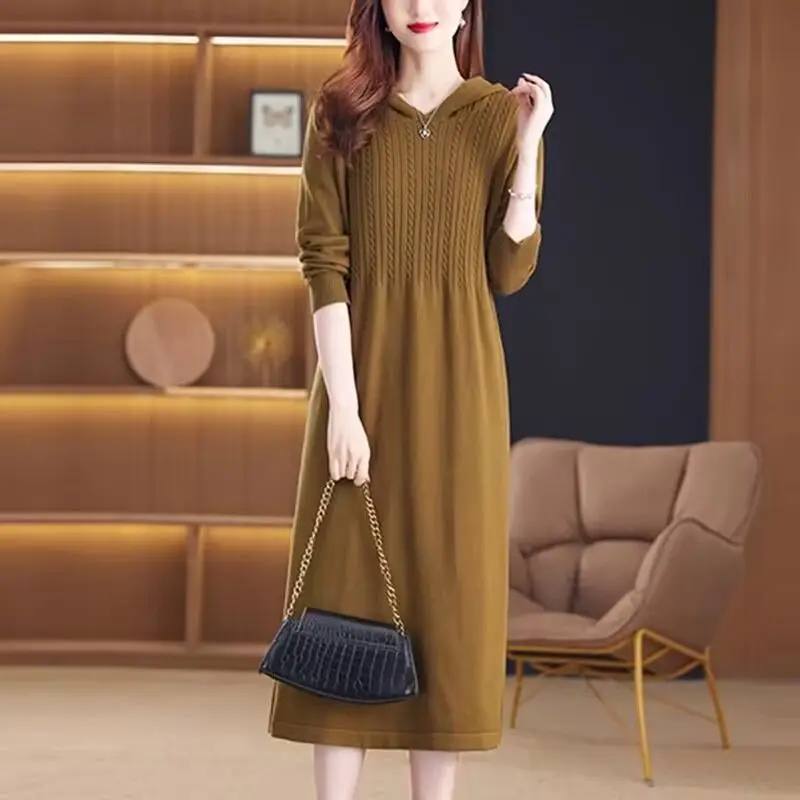 

Pulls Femmes Hooded Fashion Knitwear Long Sleeve Dress Woolen Women‘s Sweater Spring Autumn Jumper Pullover Mother Clothes