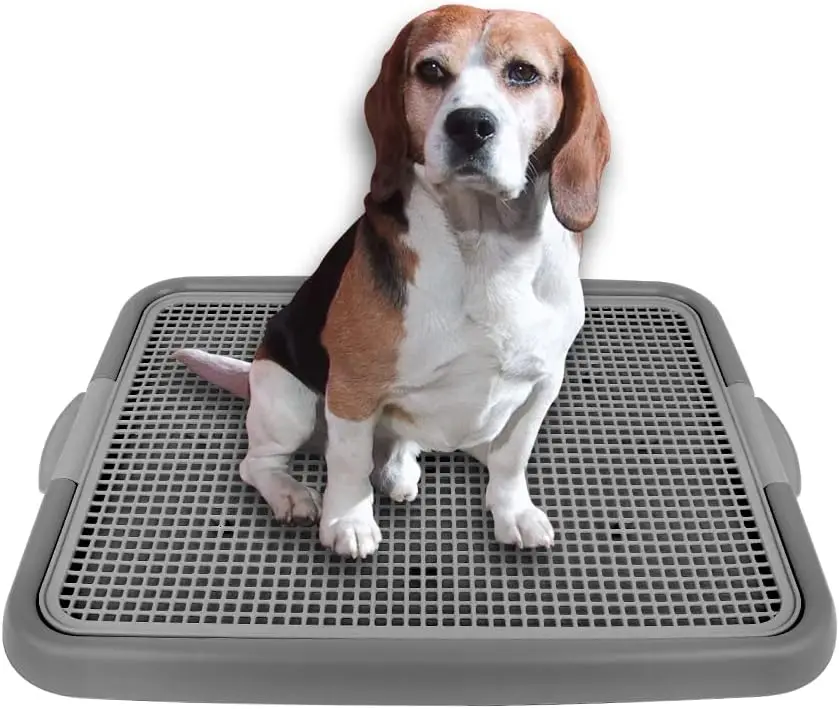 

Mesh Training Toilet Potty Tray for Puppy and Small Size Dog 20.3 x 16.3 x 1.2 inch (Gray+Gray)