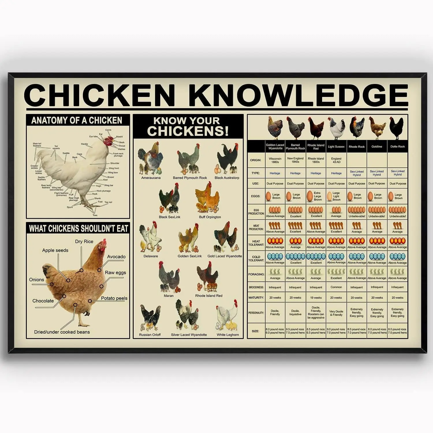 Pzecaru Chicken Knowledge Metal Tin Sign Know Your Chickens Poster Vintage Metal Plaque Retro Wall Decor Gift For Bathroom Resta