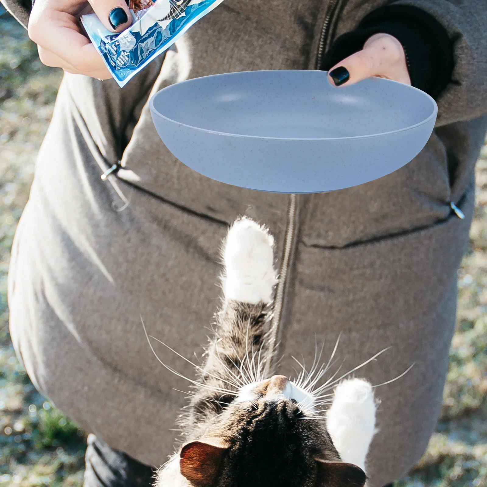 6 Pcs Shallow Cat Food Tray Wide Wet Feeding Bowl Whisker Fatigue for Kittens and Short-legged Cats Pet Drinking Bowls Indoor