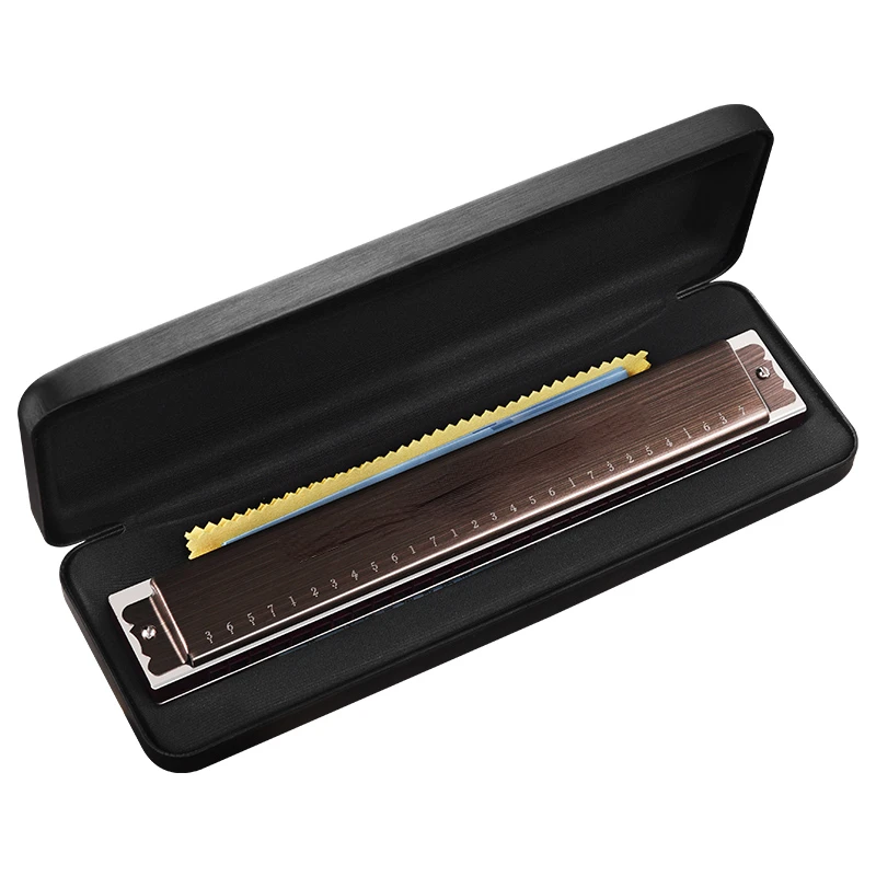 24-Hole Harmonica Polyphonic C Key High-End Professional Performance Grade Beginner 28-Hole Accent