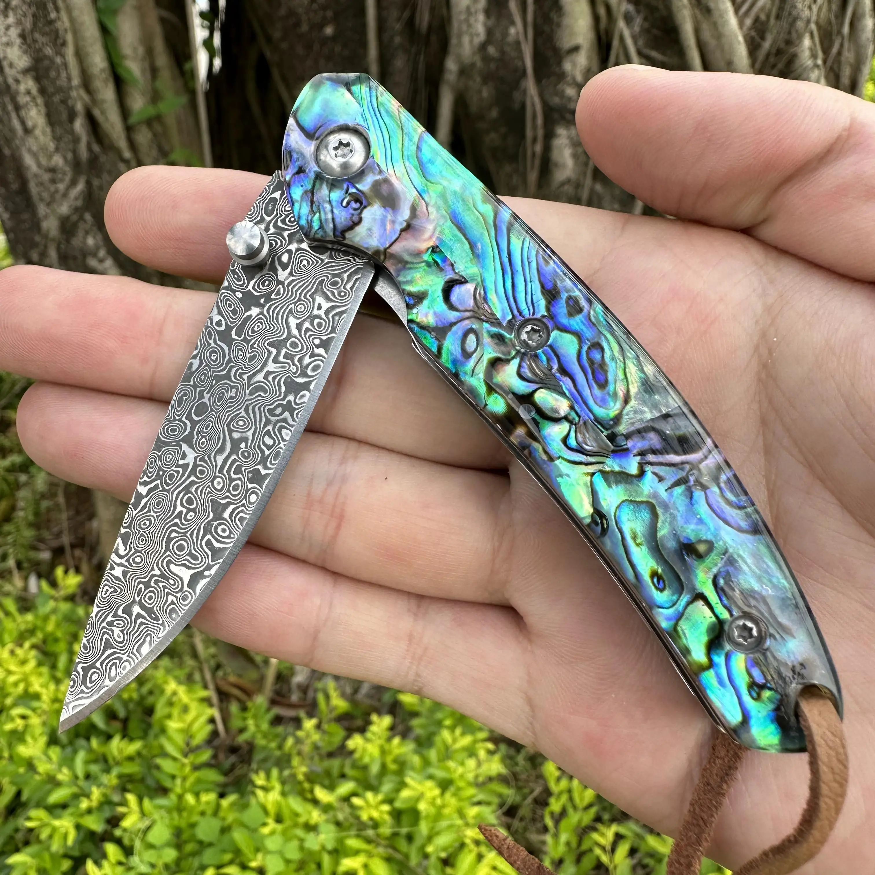 Topwell Handmade Forged Damascus Steel Knife VG10 Blade Abalone Shell Handle With Gift Box Camping outdoor Excellent Men Gift