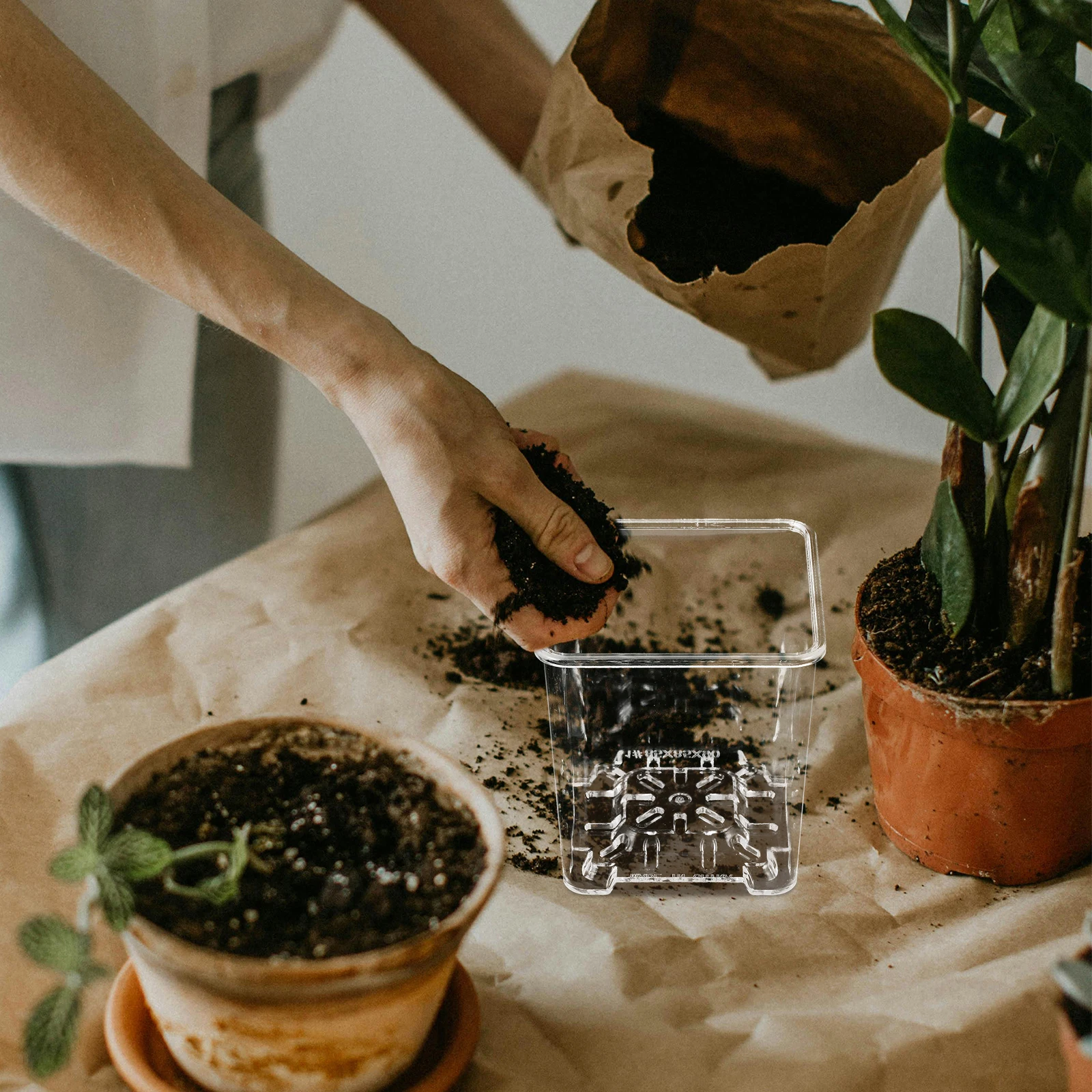 

5Pcs Clear Square Orchid Pots Transparent Stable Planters Easy Drainage Small Plant Pots for Succulents Nursery