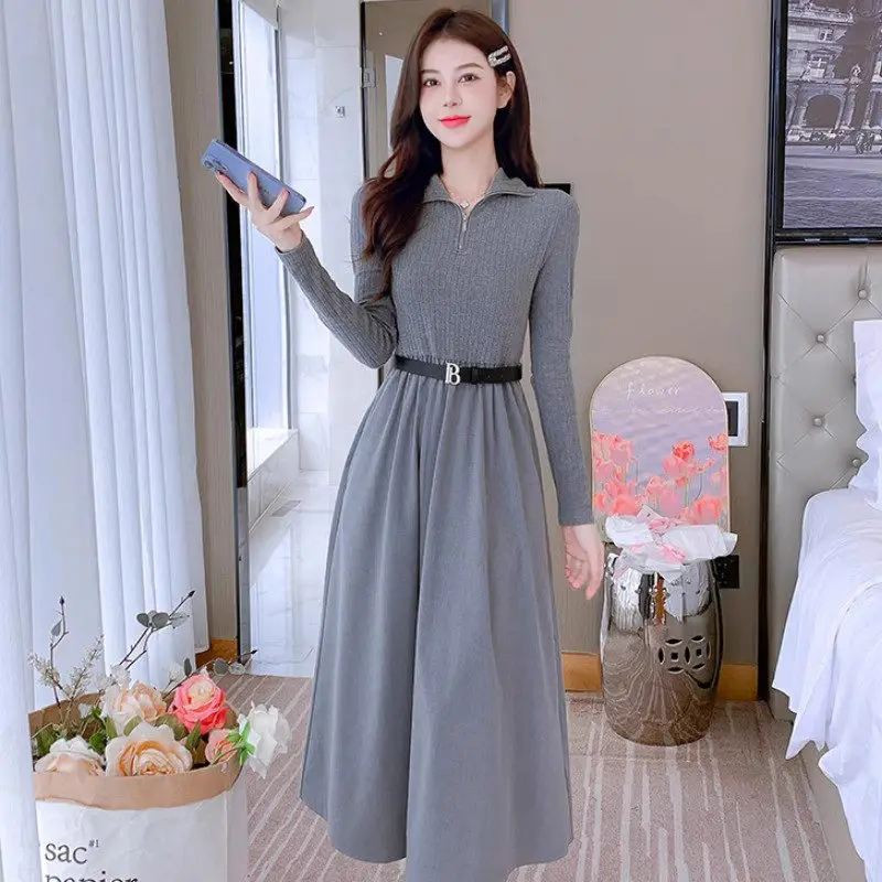 Fashionable And Elegant Knit Dress 2023 Autumn Winter New Korean Edition Zip Collar High Waist Slim Long Sleeve Long Dress Z2882