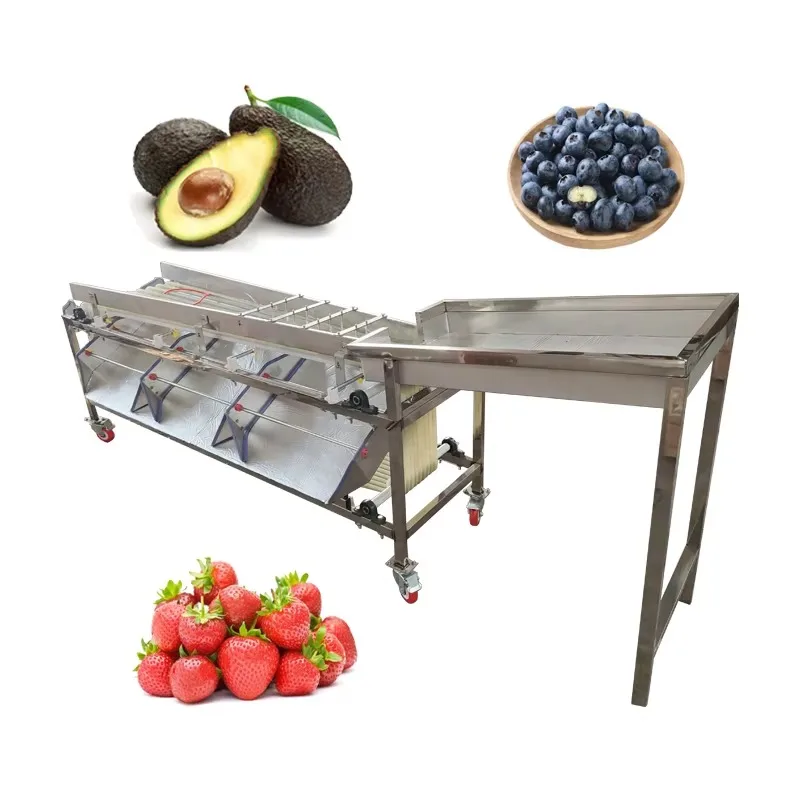 Root Vegetables Avocado Sorting Washing Machine Sales Price Olives Fruit Dates Potatoes Apple Tomato Cleaning Classifier