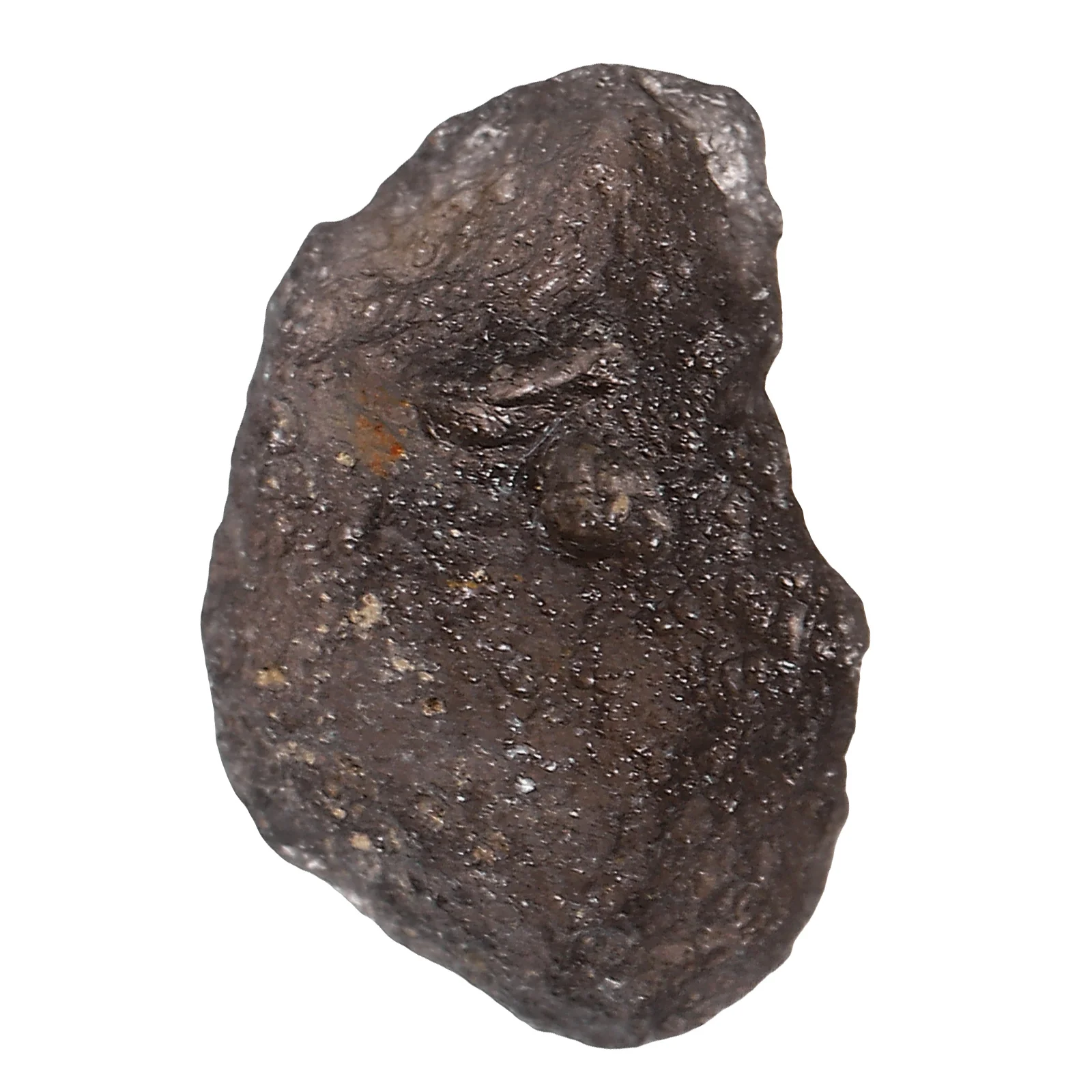 

Meteorite Star Gift Collection Sample Crystal Stones Gemstone Mineral Rock Specimen Science