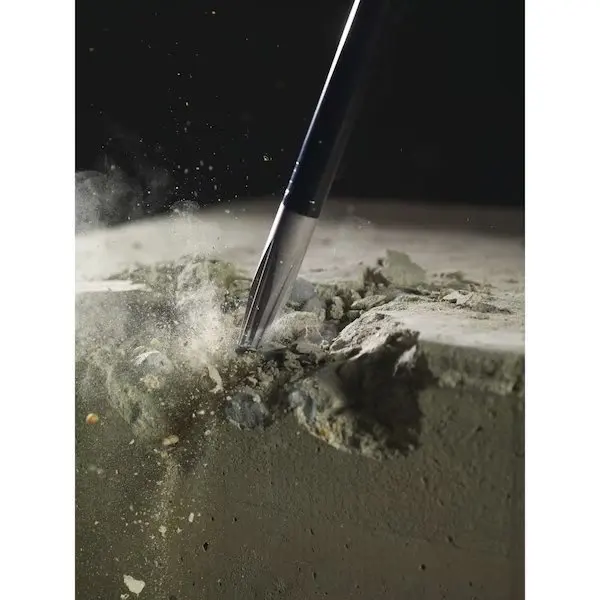 SDS MAX 12