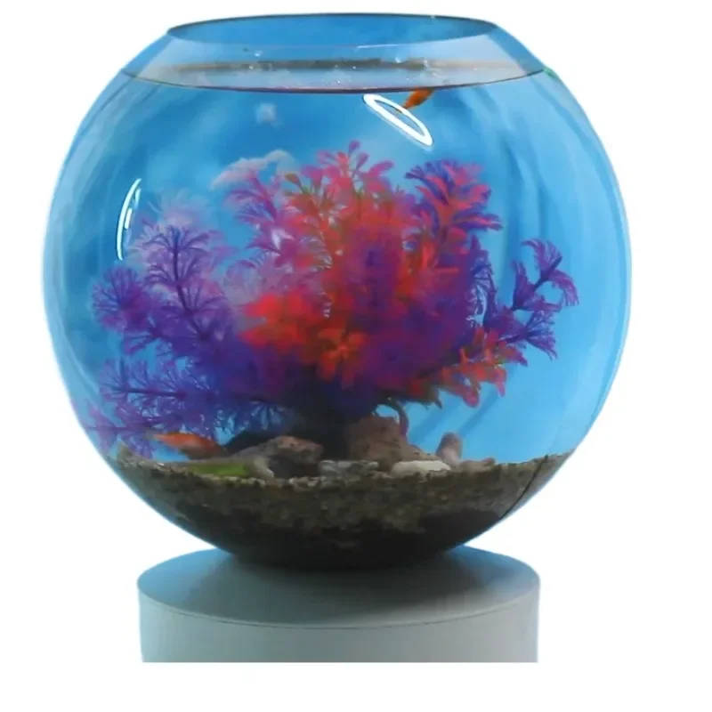 

Fish tank with filter device