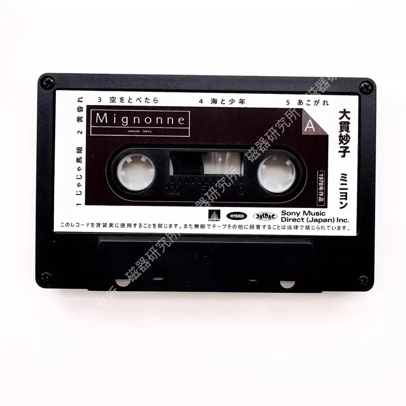 Рисунок 5 - Ретро Ryuichi Sakamoto Oonuki Taeko