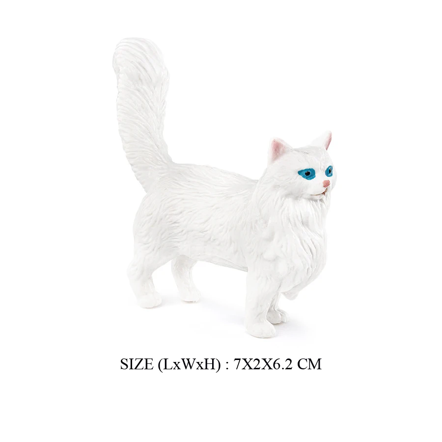 Cat -4