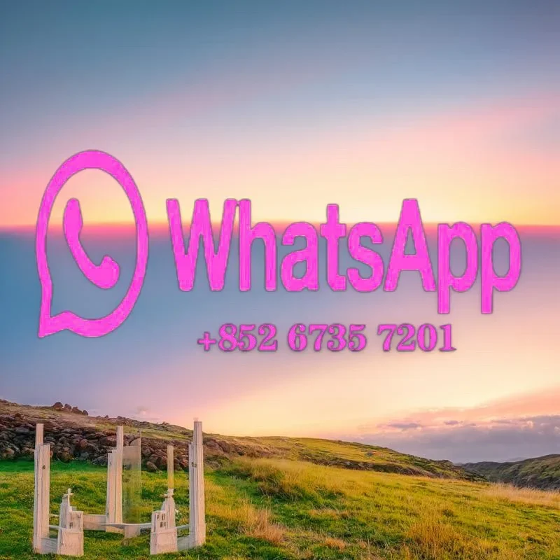 Generador solar EcoFlow LFP de alta calidad: central eléctrica portátil DELTA 2 Max, 2400 W, completamente cargado en 1 hora, 2048 Wh