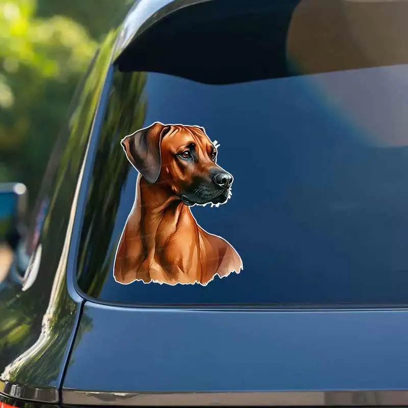 Rhodesian Ridgeback Dog Pet Animal Car Sticker Waterproof Styling Automobiles Motorcycle Exterior Accessories Vinyl Decals Y378