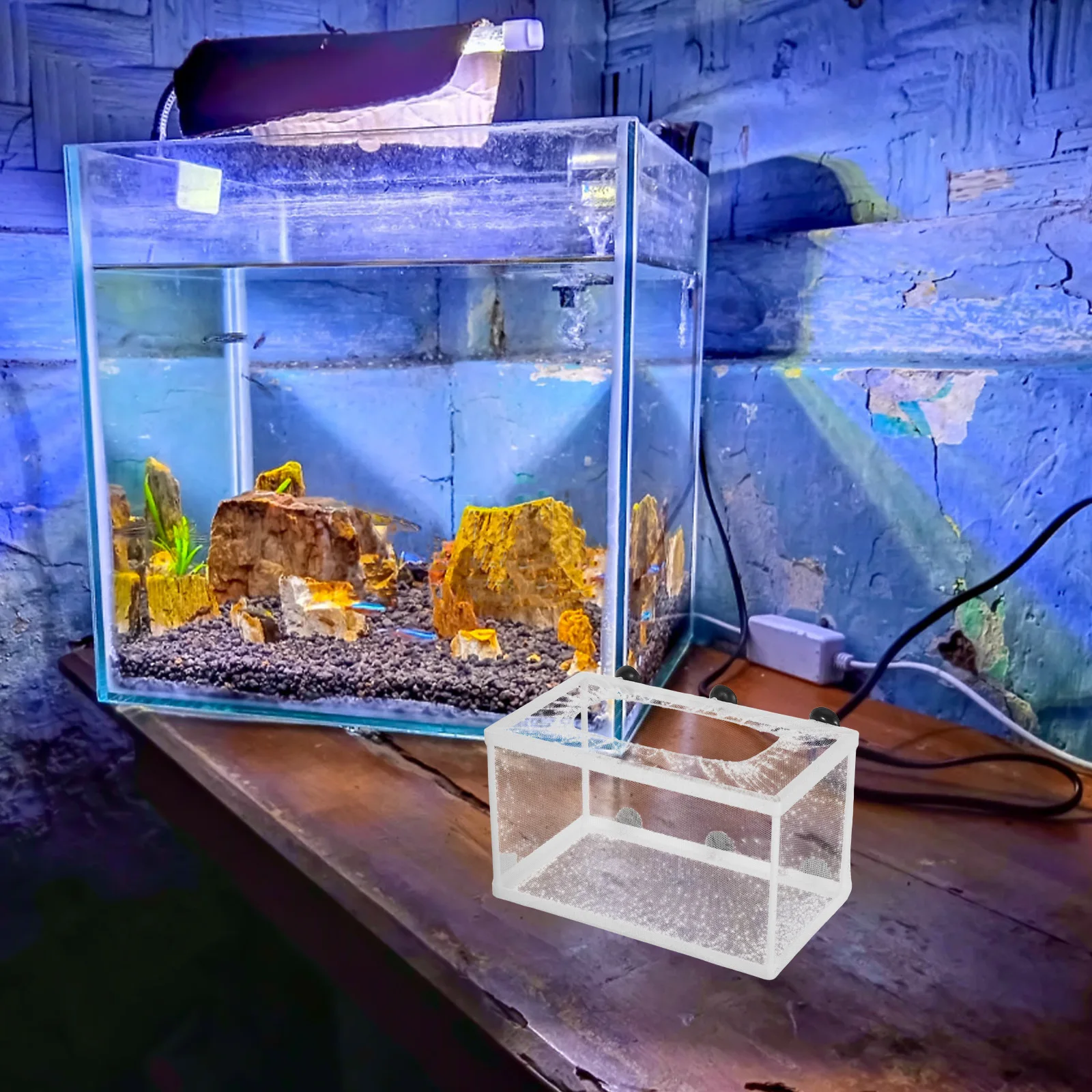 

Aquarium Isolation Box Large Size With Suction Cups Polyester Net Plastic Frame For Hatchery Fish Separation Fish