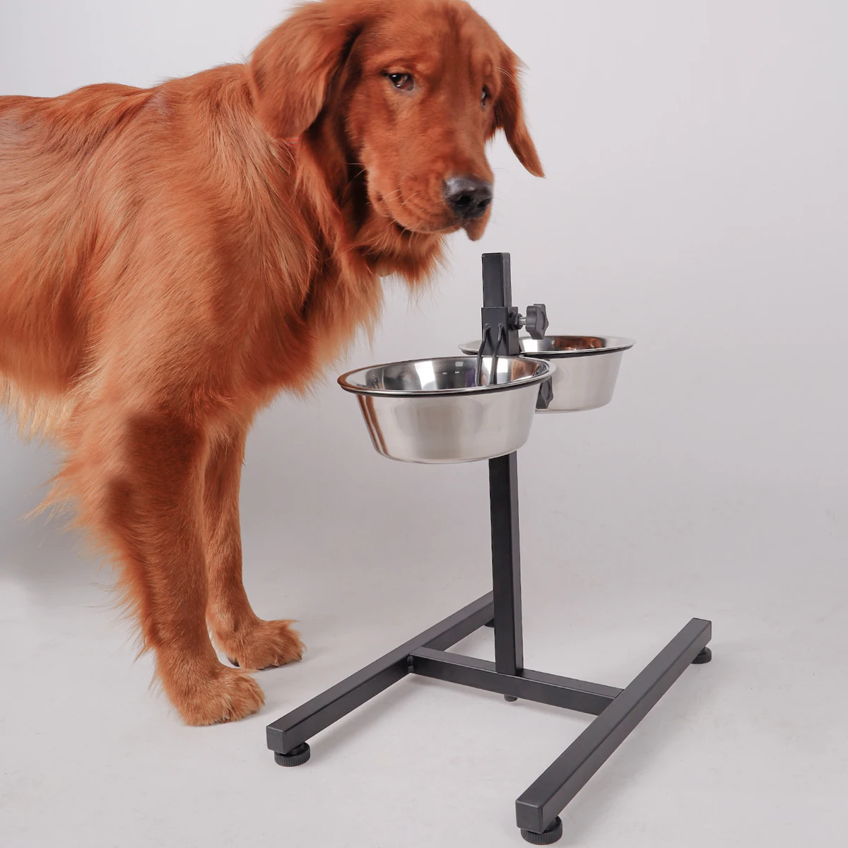 Pet Cat and Dog Bowl Floor-standing Lifting Rack Food and Water Adjustable Double Bowl