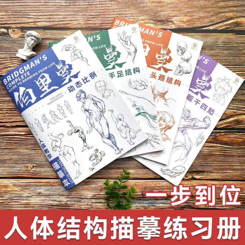 Bridgman's Complete Guide To Drawing From Life Tracing Sketch Hand Painted Tutorial Book Copy Practice Line Draft Practice Books