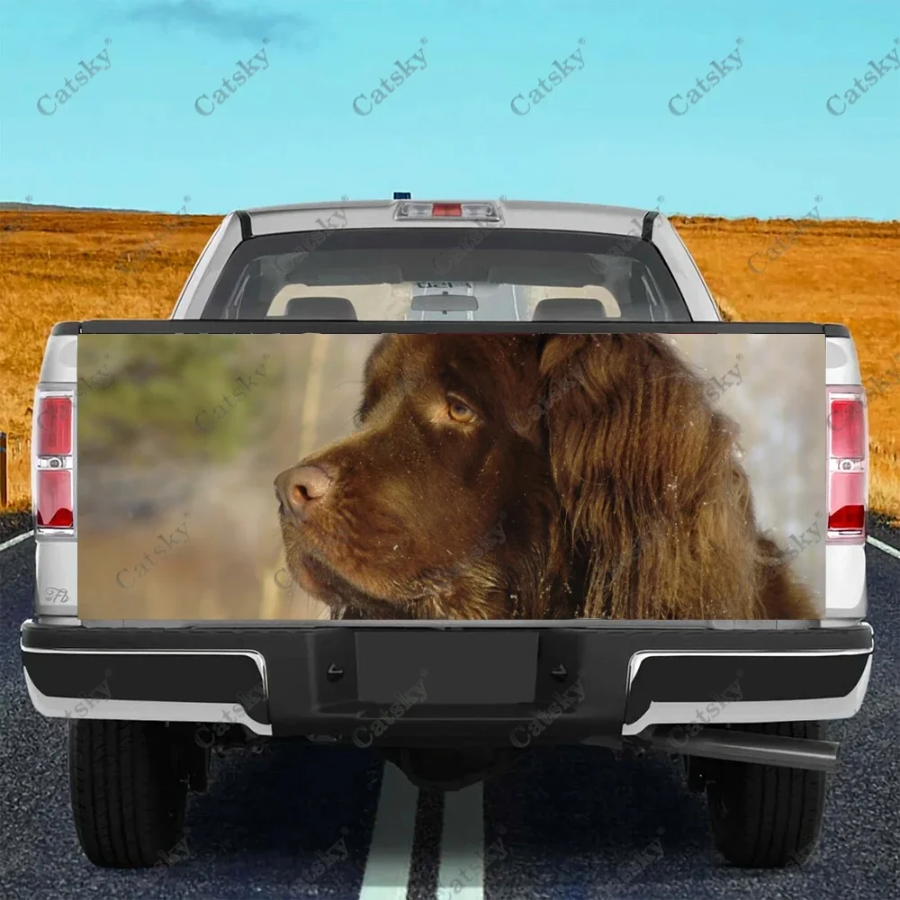 Newfoundland dog Car sticker rear car exterior modification vinyl self-adhesive painting for cars truck stickers