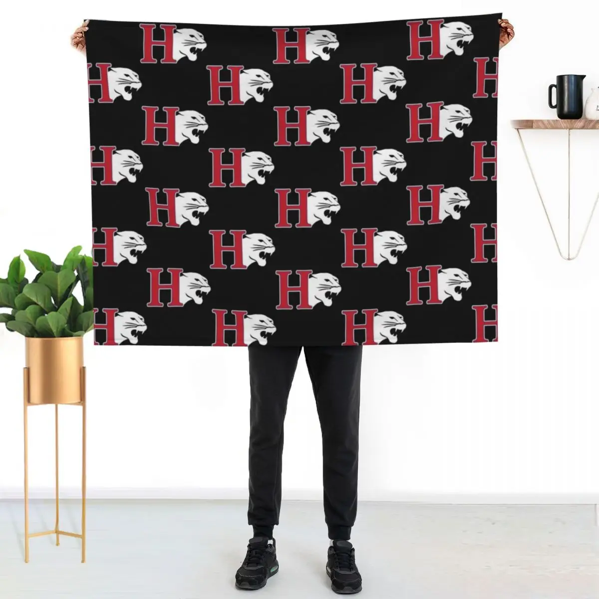 Hanover College athletics Throw Blanket Luxury Brand Heavy Luxury Extra Large Throw Sofa Fashion Sofas Blankets
