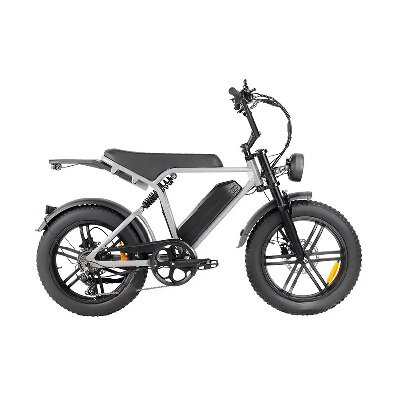 RRE European Union warehouse direct delivery adult 350W 48V 13AH hybrid electric bicycle 7-speed wide tire electric bicycle