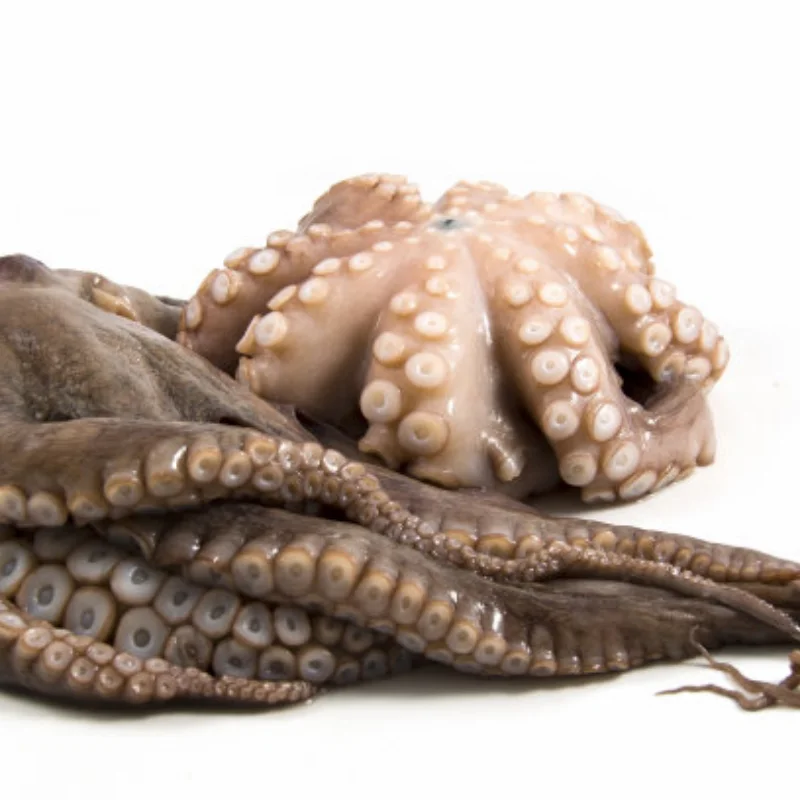 

2pcs Metal Rear Shock Mounts Shock Tower 8538 8538X for Trxs Unlimited Desert Racer UDR 1/7 RC Car Upgrade Parts Accessories