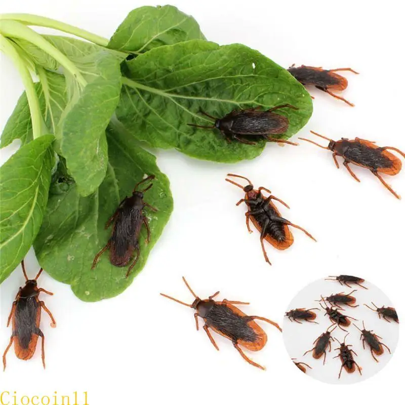 Y1ub 12pcs thực tế gián Bugs đồ chơi tháng tư Cá con ngày
