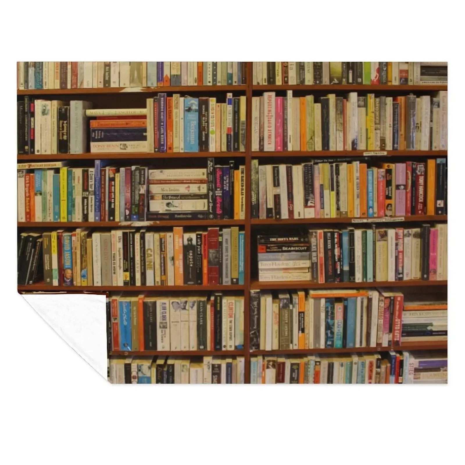 

Bookshelf Books Library Bookworm Reading Throw Blanket Winter beds Luxury Brand Furry Thermal Blankets