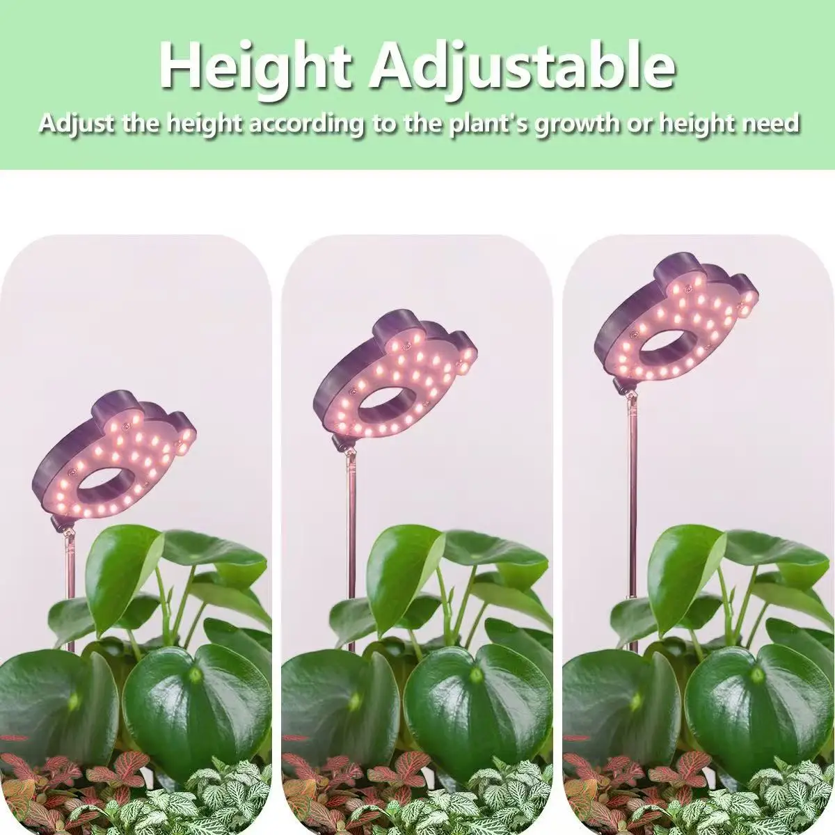 LED Full Spectrum Plant Light For Indoor Plants, Height Adjustable Grow Light With4 Dimmable Brightness, 2/4/8H On/Off Timer