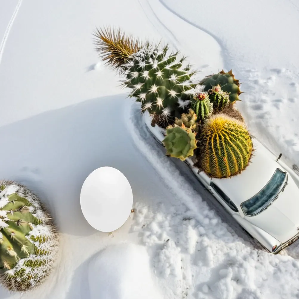 

12Pcs Realistic Artificial Bird Eggs Plastic Durable Nest Eggs for Breeding Training Parrots Pigeons Cage Use Fake Hatching Egg