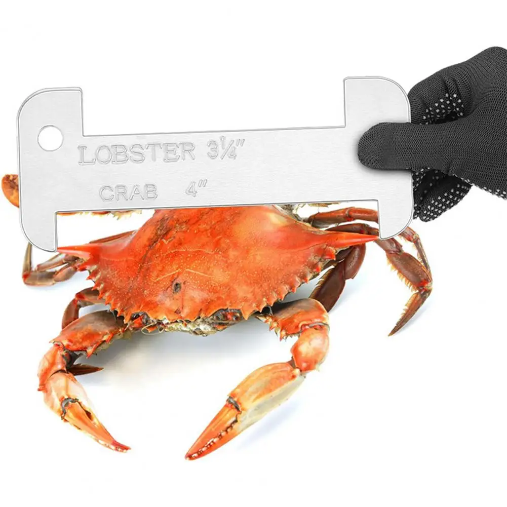 Dual-purpose Seafood Ruler Acrylic Measurement Gauge with Precise Scale Markings Corrosion Resistant Tool Ruler Ergonomic Grip