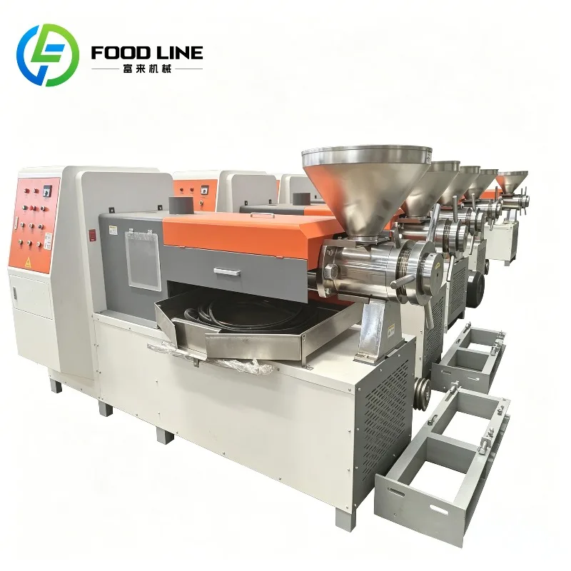 Custom New Oil Press Capacity 3-5KG/H Stainless Steel Cooking Oil Processing