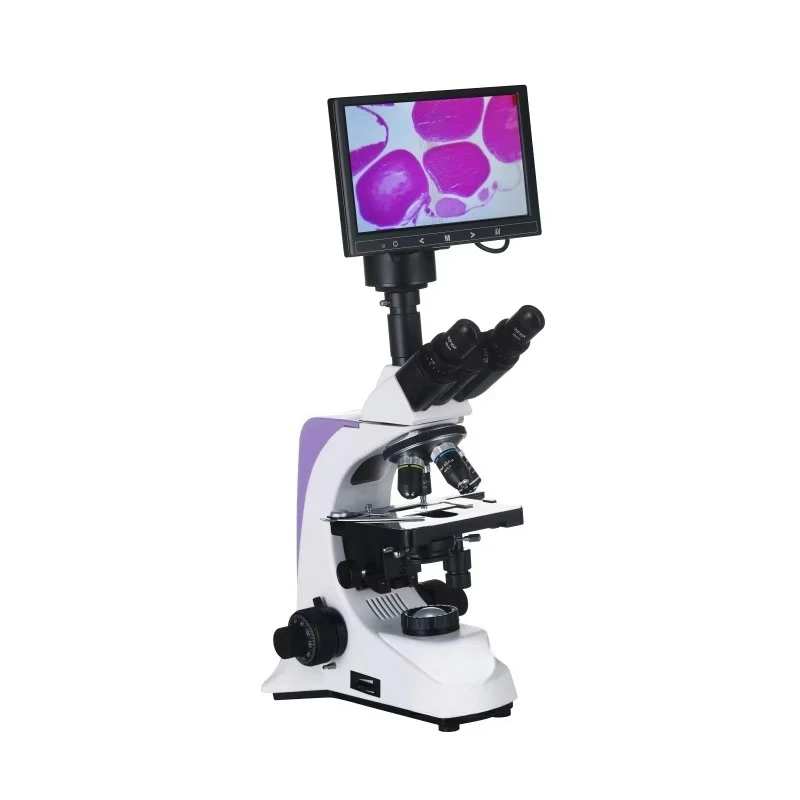 

EUR VET Reliable Quality Biological Microscope Veterinary Equipment High Magnification Microscope For Pet Hospital