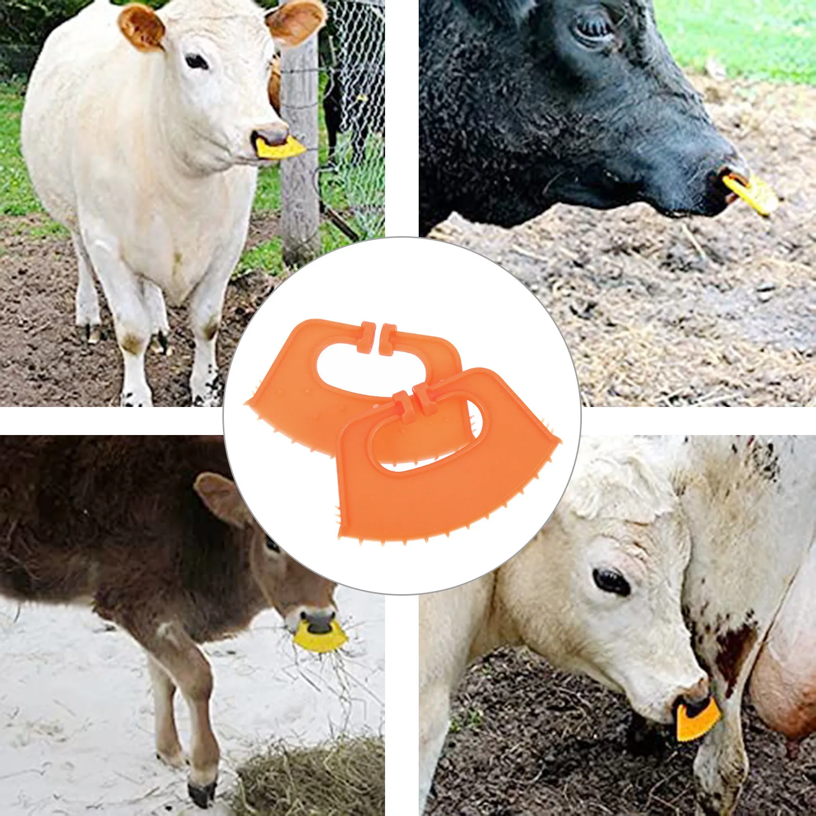 10 Piezas de Pinzas para la Nariz de Terneros, Herramienta Ergonómica de Plástico para Destete, Abrazadera para Destetar Ganado, Equipo para Prevenir la Succión de Terneros