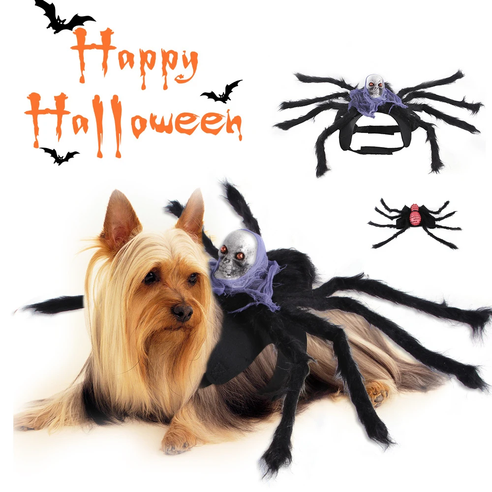 

Pet Halloween Christmas Chest and Back Creative Cat Dog Small Dog Spider Transformation Costume Cat Dog Halloween Costume