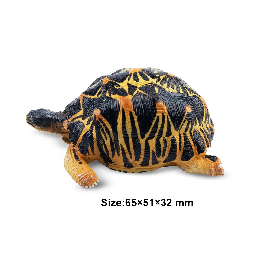 Toymany Simulation Radiated Tortoise Madagascar Animal Model Toy Mini Figures Dolls Action Figurines Toy Children Gife Cake Dec