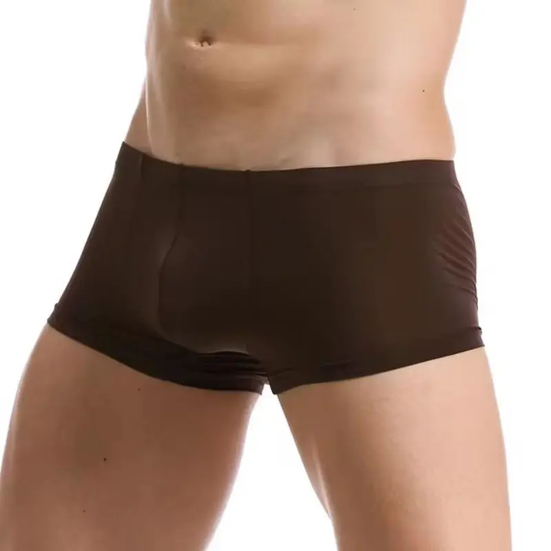 Men Panties Ice Silk Boxers Sexy Underwear Ultra-thin Boxer Shorts See Through Male Underpants Boxershorts