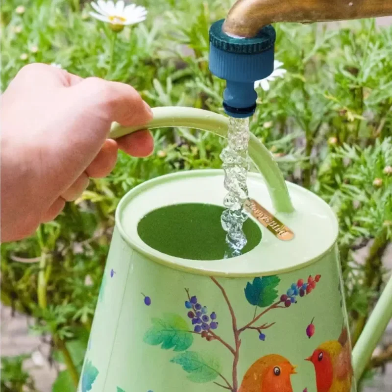 Creative Stainless Steel Long Spout Water Cans Simple Indoor Plant Watering Cans Cartoon Painting Pattern Art Garden Supplies