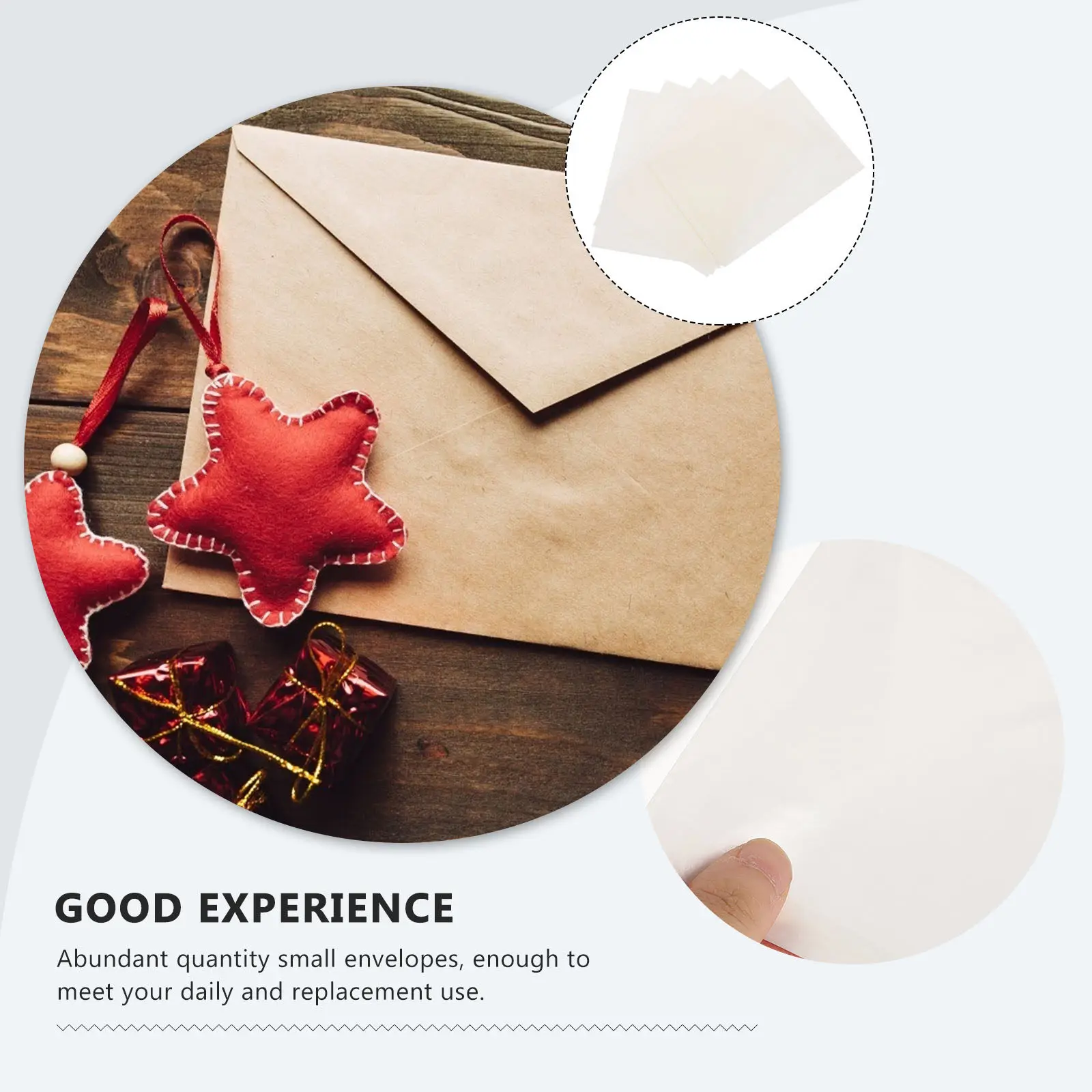 20Pcs Specimen Envelopes Thick Paper Mini Envelopes for Plant Seeds Collection Storage Envelope Organizer for Coins Stamps