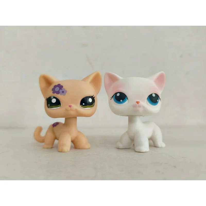 2 pçs/lote Littlest Pet Shop Amarelo Branco Gato de Cabelo Curto # 1962 # 64 figuras de animais
