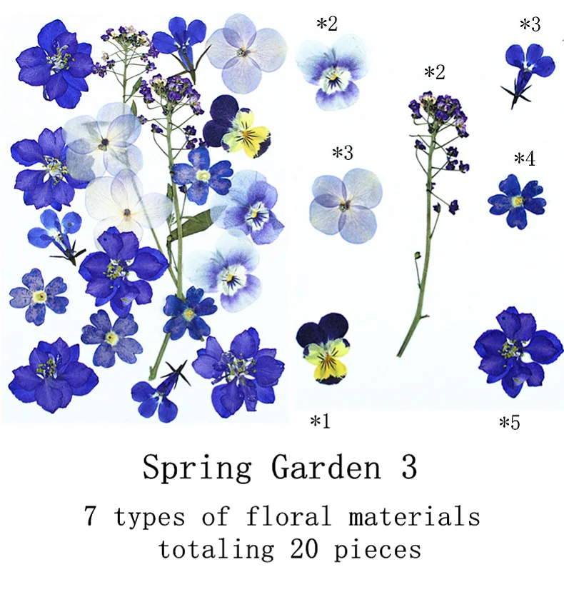 Natural Real Flower Pressed Fl - Pressed Flower Frame ulasan dan harga