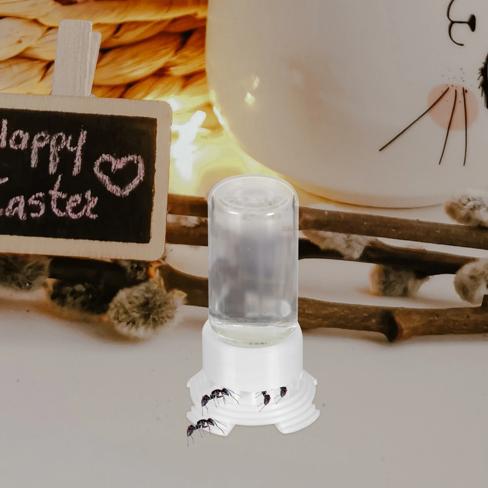 

2Pcs Water Feeding Cup for Ant Garden Leakproof Design Secure Attachment Supports Healthy Maintenance Tool