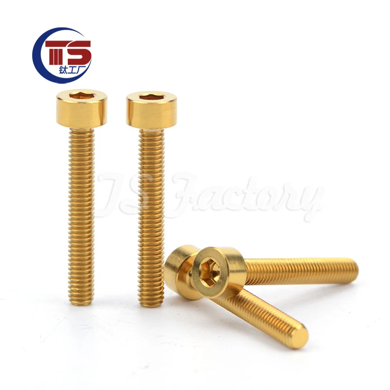 TS 10PCS and 50PCS  M4*8/10--40mm Titanium Factory Titanium Cup Head Hexagon Screws Cylindrical Hexagon Screws do not rust