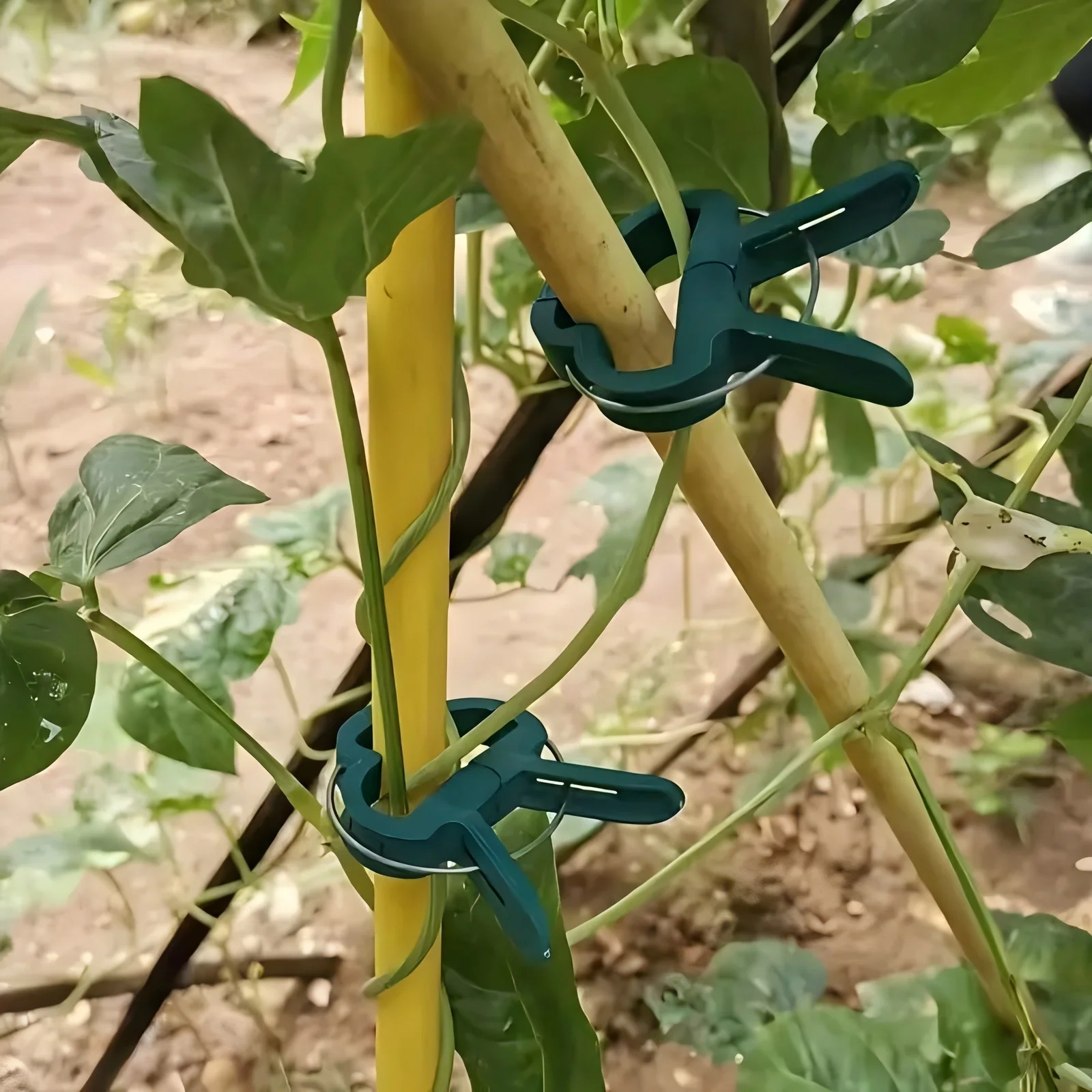 Large Plant Support Clips Garden Vine Fixing Fasteners Reusable Vegetable Stem Holder Clamps For Tomato Cucumber Climbing 2026