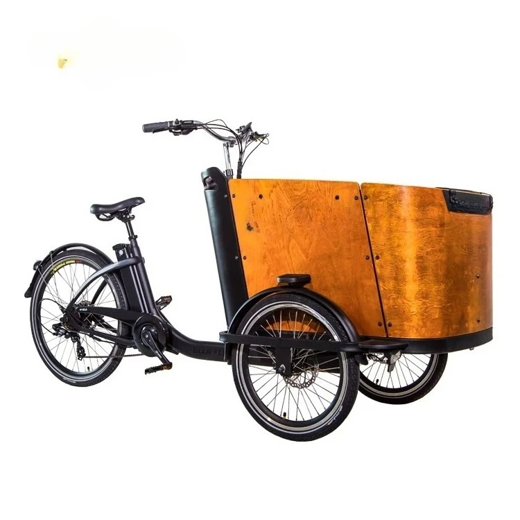 Electric Cargo Bike For Take Dog Stroll