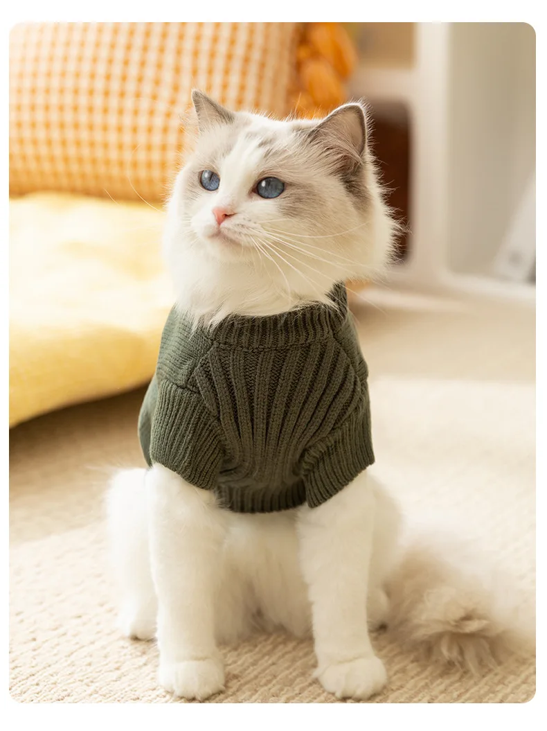 24 Year New Cute Style Simple Dinosaur Two Leg Knitted Sweater Autumn/Winter Pet Clothing