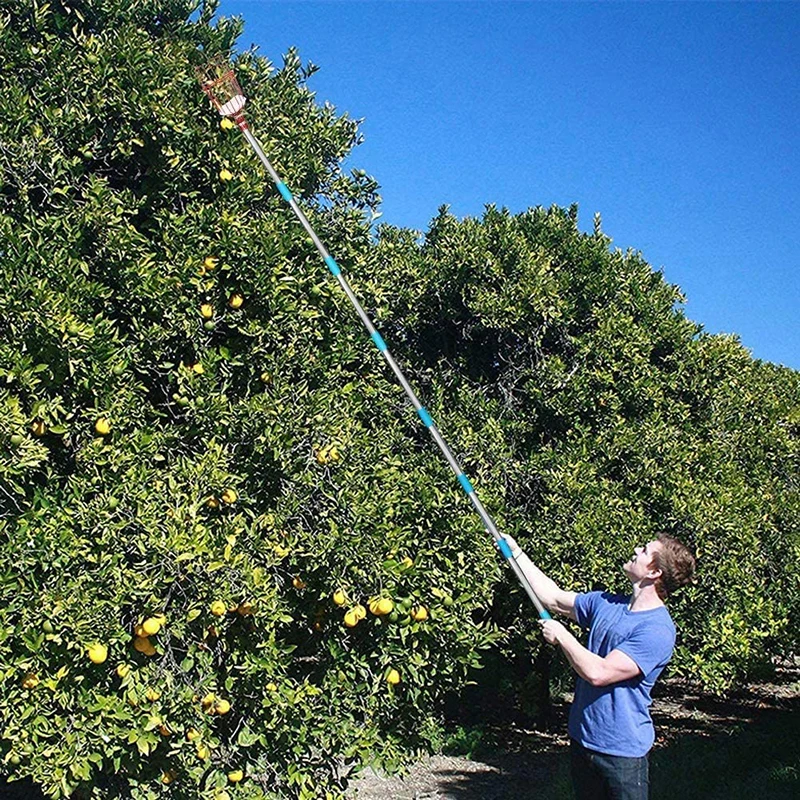 Fruit Picker Tool Harvesting Guava Mango Honey Crisp Apple Fruit Collector with Foam Pad Basket and Pole Home Garden Tools