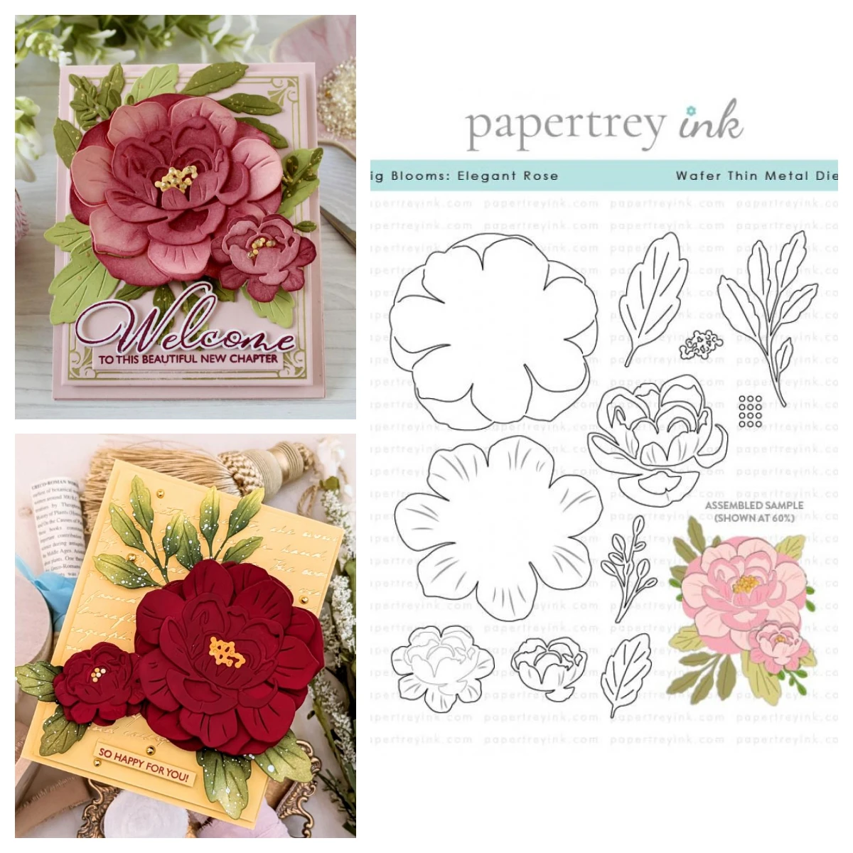 Papertray Ink Big Blooms: Elegant Rose Frame Worthy Metal Cutting Dies Stamp for DIY Handmade Photo Album Scrapbook May 2026 New