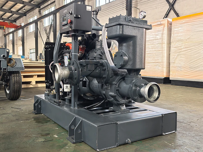 Pompa dell'acqua ad alta aspirazione per drenaggio minerario con generatore ad alto sollevamento a bassa energia