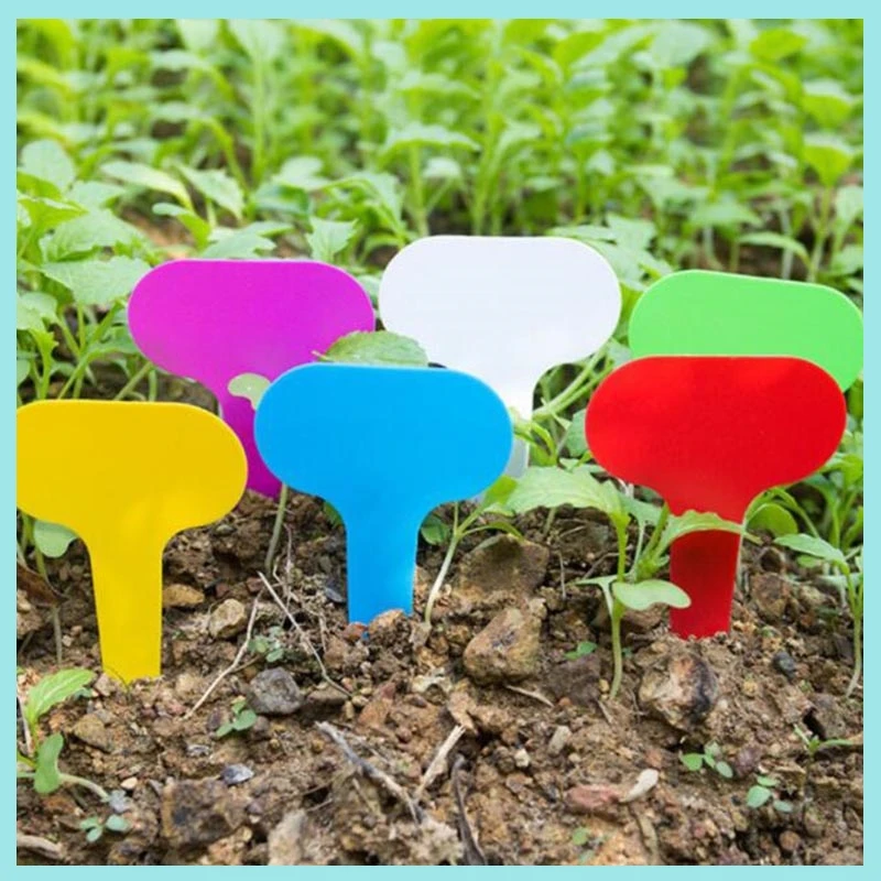 100pcs Colorful Plant Labels Tags Markers Garden Tools Vegetable Tags Sign PVC Gardening Stake Soil Paint Waterproof B2