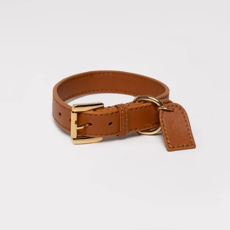 

Custom Dog Collar and Leash Set Luxury Leather Puppy Collar Dog Gift Dog Accessories