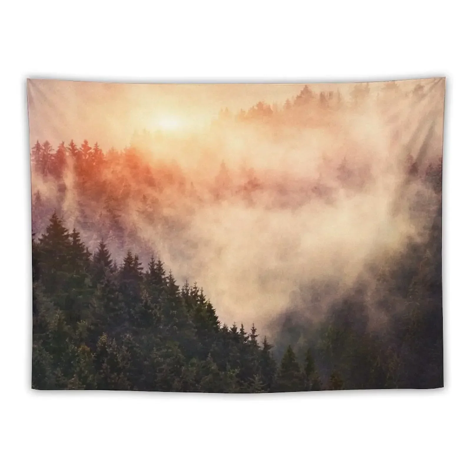 In My Other World // Sunrise In A Romantic Misty Foggy Autumn Fairytale Wilderness Forest With Trees Covered In Fog And Tapestry