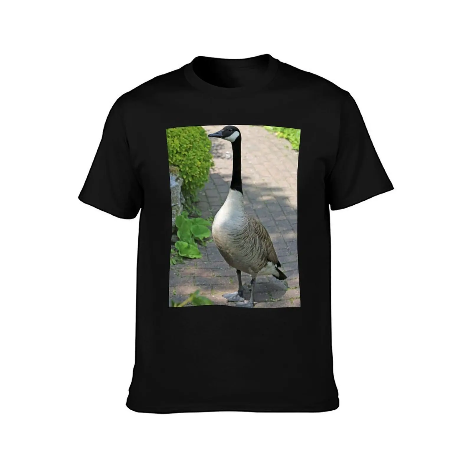 None shall pass T-Shirt, Summer Casual Cotton Tee, Oversized Streetwear Tops, Vintage Graphic Print, Loose Fit Short Sleeve